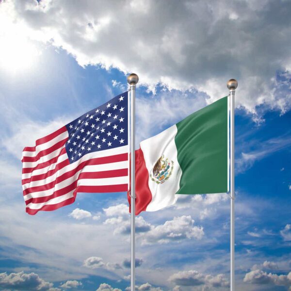 Betterware de Mexico: Entering The US Market On Solid Footing (NASDAQ:BWMX)