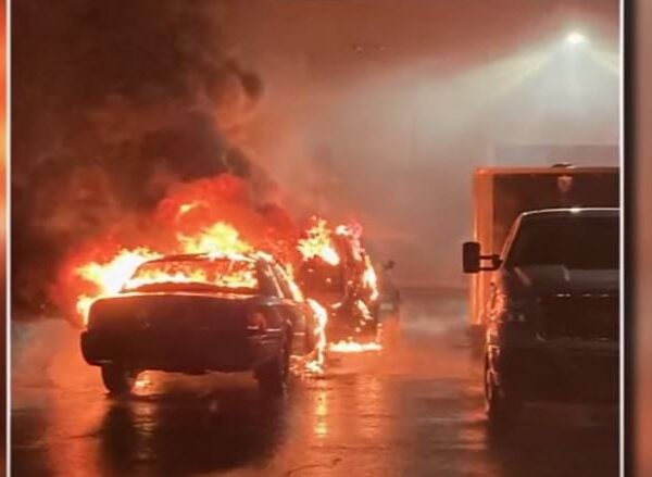 “Let 10 Million Cop Cars Burn!” – Radical Pro-Hamas Terror Group ‘Rachel…