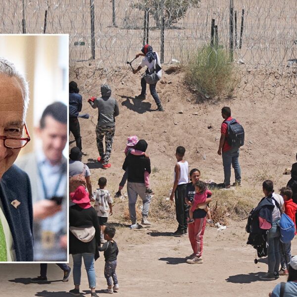 Schumer-backed border invoice fails a second time with even much less Dem…
