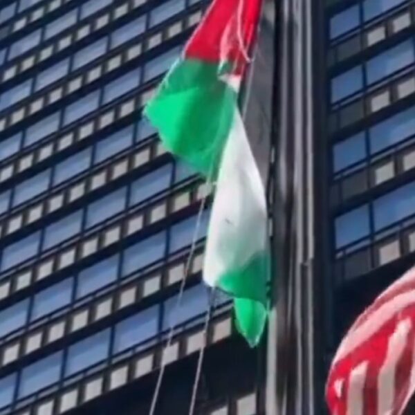 DISGRACE: Pro-Hamas Thugs Raise Palestinian Flag at Daley Plaza in Chicago Higher…