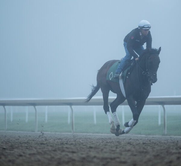See Photos From Inside the 2024 Belmont Stakes