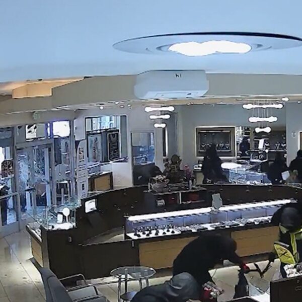 Bay Area Jewelry Store Ransacked By Gang of 20 in Broad Daylight,…