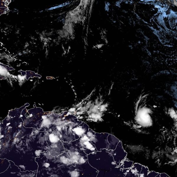 Beryl strengthens right into a hurricane within the Atlantic, forecast to develop…