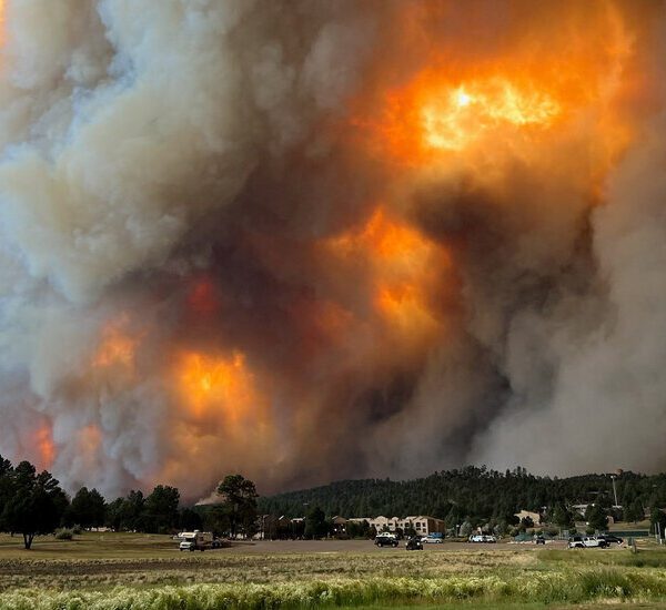 Two Wildfires in New Mexico Burn Out of Control and Force Evacuations