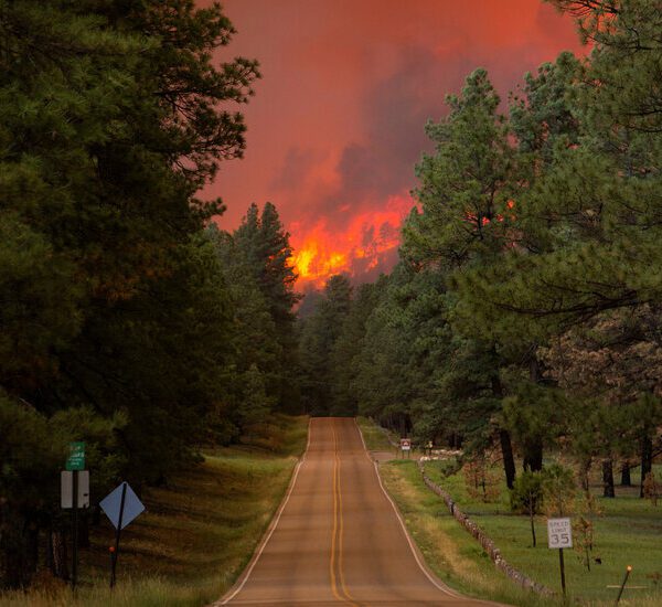 New Mexico Battles ‘Devastating’ Wildfires as Weather Complicates the Fight