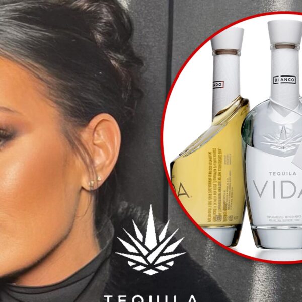 ‘RHOSLC’ Lisa Barlow, Vida Tequila Sued Over $410k of Alleged Unpaid Loans