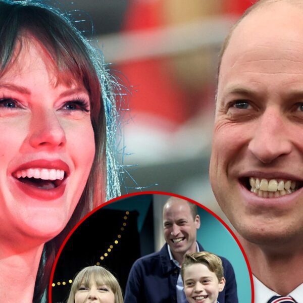 Prince William Dances Like Crazy to Taylor Swift at London Concert: Video