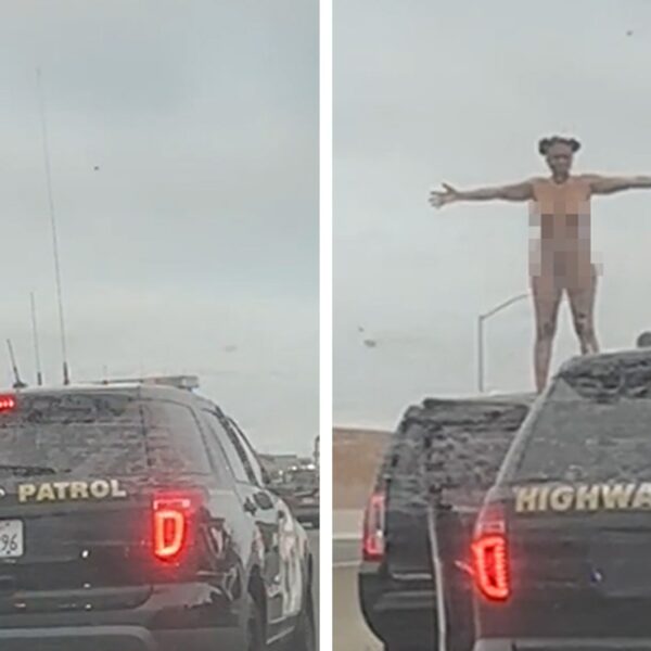 Woman In L.A. Police Chase Gets Naked On Freeway, CHP Bears Witness