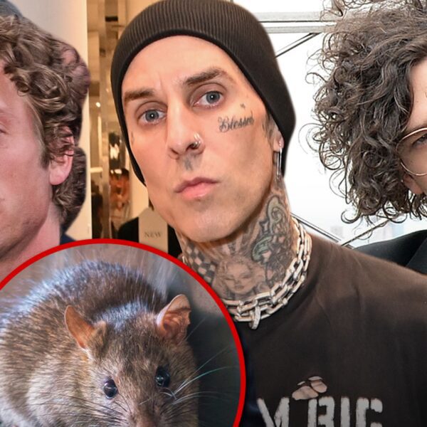 Jeremy Allen White, Travis Barker, Matty Healy Among NYT’s Hot ‘Rodent Men’