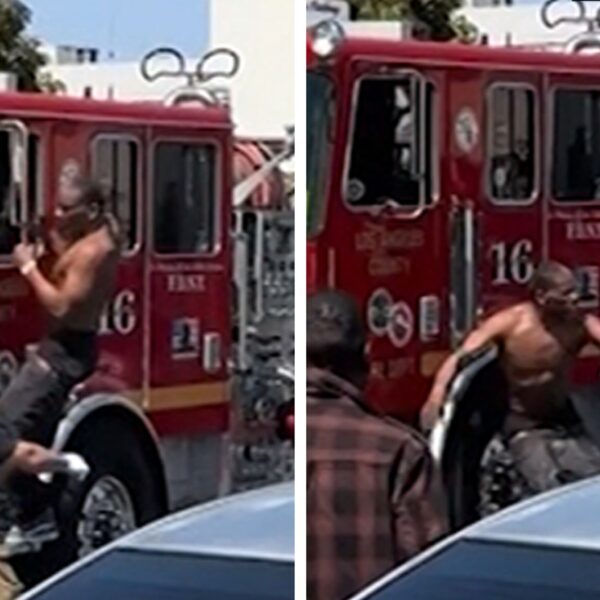 Man Jumps on Moving Fire Truck in L.A., Firefighters Retaliate in Wild…