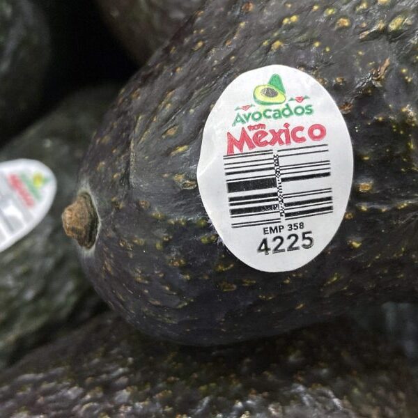 U.S. suspended avocado inspections in Mexican state