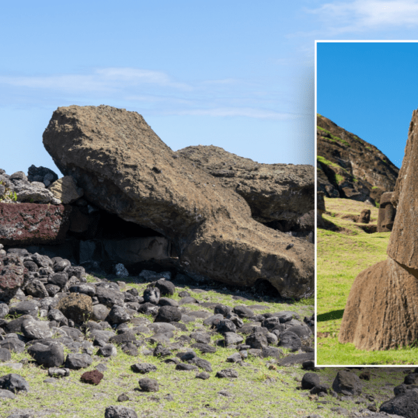 Easter Island ‘ecocide’ fantasy debunked in new scientific research