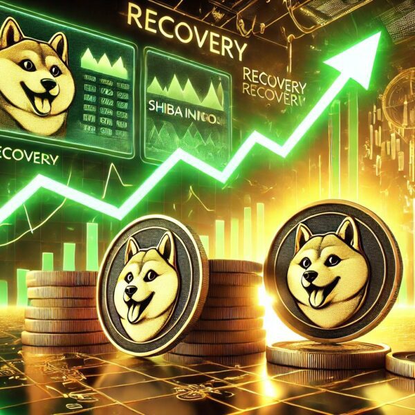 Shiba Inu Recovery On The Horizon: Net Flows Decline Brings Relief For…