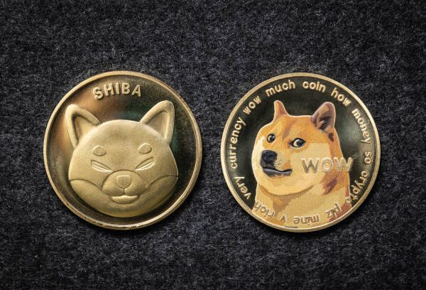 Shiba Inu Team Member Teases New Game Development, What Could It Be?