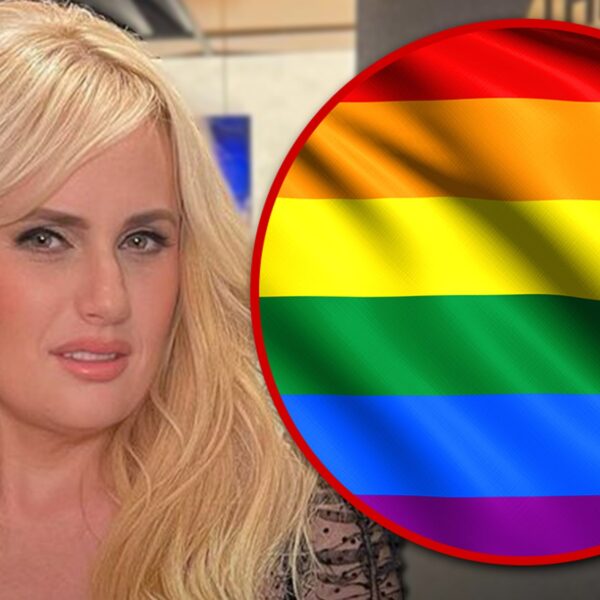 Rebel Wilson Says Straight Actors Should Be Allowed to Play Gay Characters