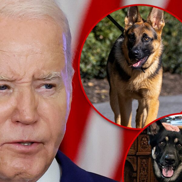 President Biden Present For Multiple Dog Bites On Secret Service Agents