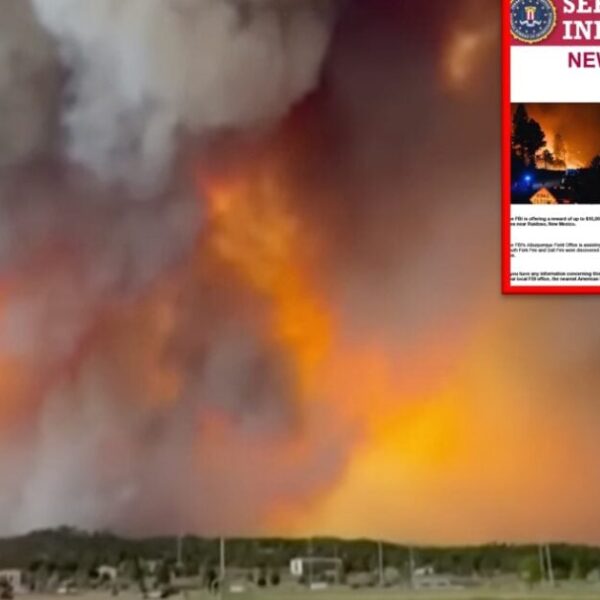 FBI Seeks Suspects Behind New Mexico Fires, Refuting Climate Change Narrative |…