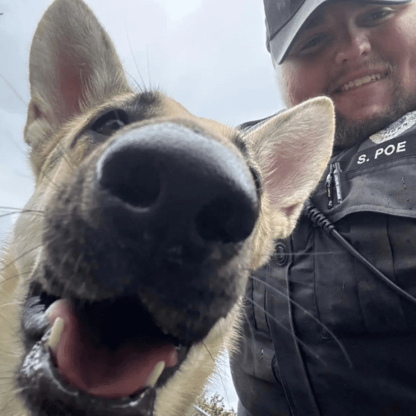 Indiana Cop Adopts German Shepherd He Rescued From Hot Vehicle After It…