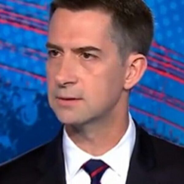 Tom Cotton Defends Trump’s Foreign Policy on CNN: ‘I’ve Noticed That Vladimir…
