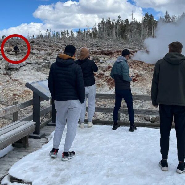 Tourist sentenced to 7 days in jail over Yellowstone trespass