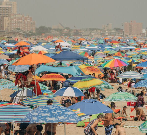 Coney Island Drownings Fail to Deter New Yorkers as City Swelters