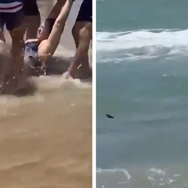 Shark Attack At South Padre Island, Gnarly ‘Jaws’-Like Rescue Video
