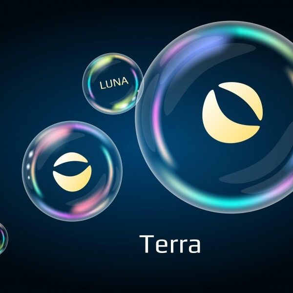 Terra Community Must File Crypto Loss Claims Now