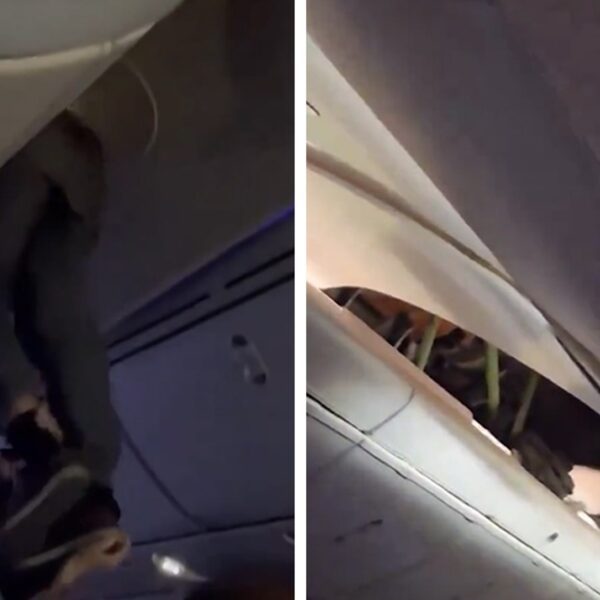 Boeing Flight in Severe Turbulence, Video Shows Passenger Stuck in Ceiling