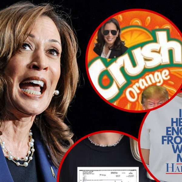 Kamala Harris For President Merch Mocking ‘Orange Felon’ Floods Etsy