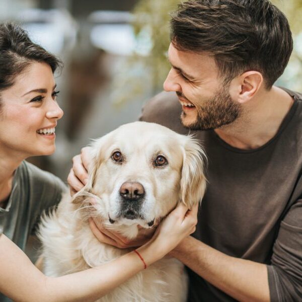 Should I add my canine to my prenup?