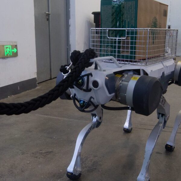 Homeland Security to make use of robotic canine in raids