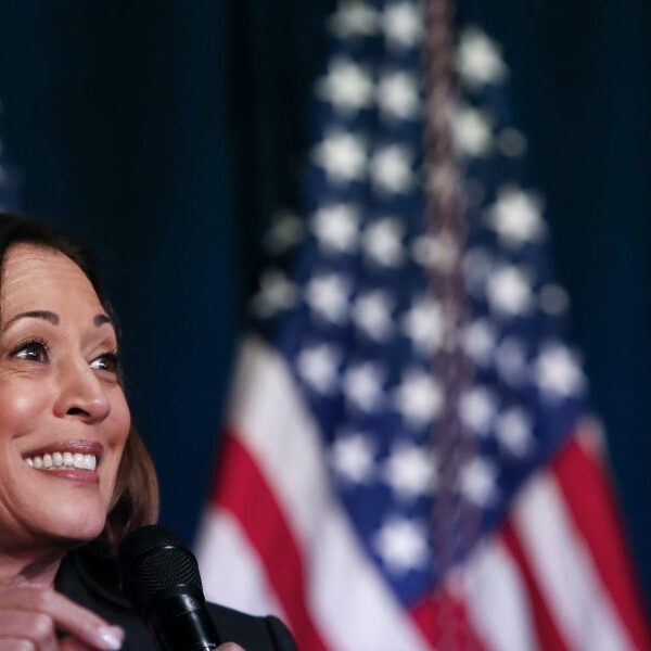 VP Kamala Harris developments on Chinese social media amid U.S. election chaos