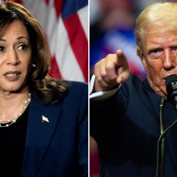 Harris edging Trump in new ballot carried out after Biden’s withdrawal