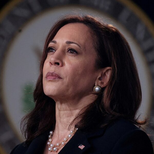 Liberal shops, Democrats run protection for VP Harris as she continues to…