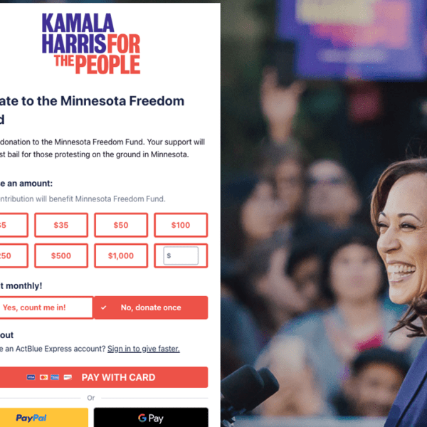 Kamala Harris-backed ‘Freedom Fund’ that put murderers, rapists again on streets nonetheless…