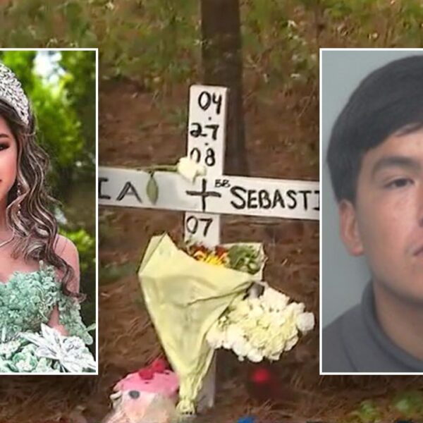 Pregnant teen discovered lifeless in woods, ex-boyfriend arrested with mendacity to police