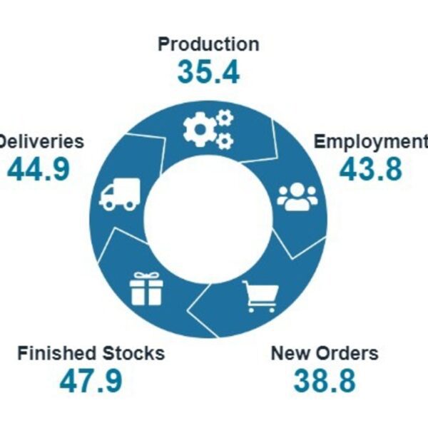 New Zealand June Manufacturing PMI 41.1 (prior 47.2)