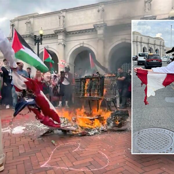 Patriot rescues fragment of Old Glory as pro-Hamas agitators burn American flag