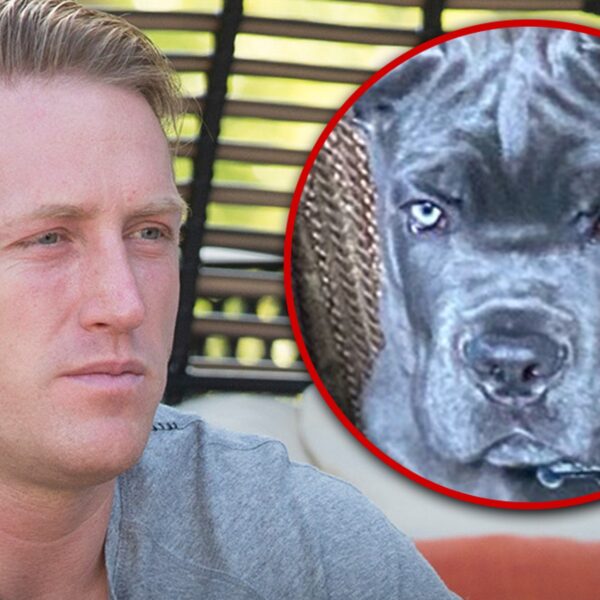 Kroy Biermann Gets Ticket for Dog Getting ‘Aggressive’ with Neighbor