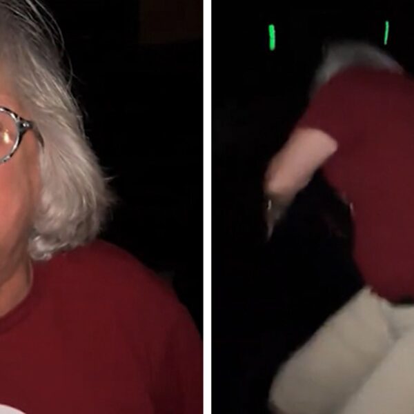 Woman Freaks Out on Mom After Son Mistakenly Sat in Her Movie…