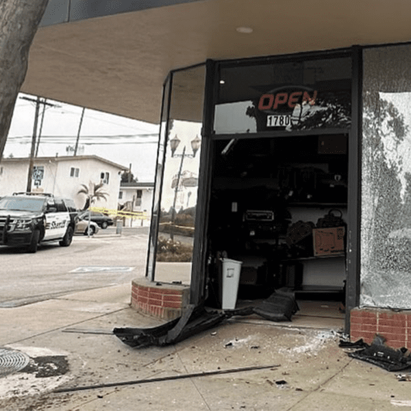 Burglars steal weapons from California retailer after crashing into entrance with stolen…