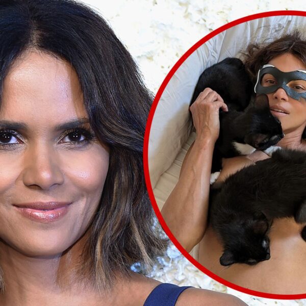 Halle Berry Poses Topless with Cats For ‘Catwoman’ twentieth Anniversary