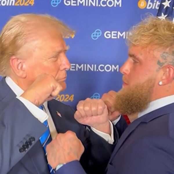 Jake Paul Squares Up With Donald Trump, Throws Support Behind Former President