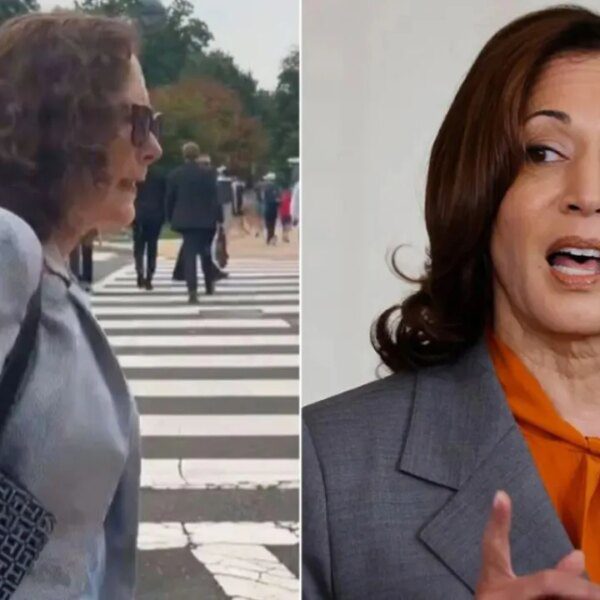 WATCH: House Dem makes weird declare whereas dodging query on VP Harris’…