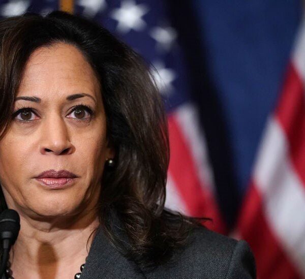 New Polling Finds Kamala Harris Hasn’t Moved the Needle Much – Trump…