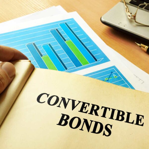 BDC Weekly Review: The Benefits Of Convertible Bonds For BDCs