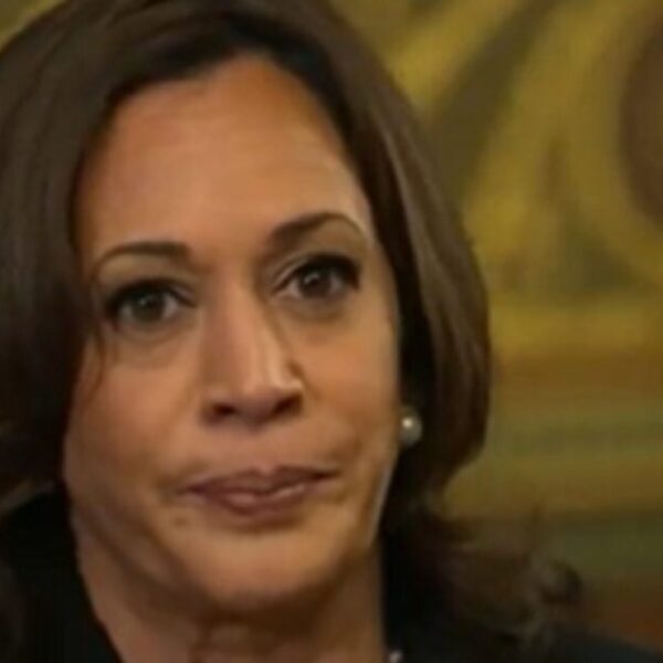 Survey Finds Overwhelming Majority of Americans Believe Kamala Harris is for Open…