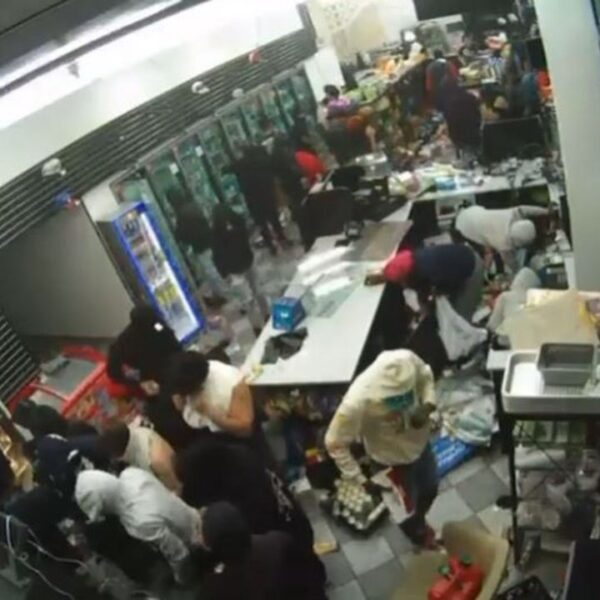 Mob ravages California mini-mart throughout flash theft close to airport, surprising video…