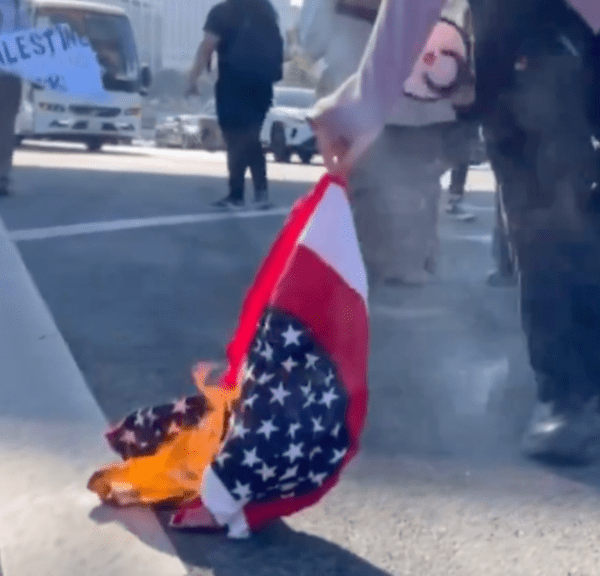 This is Who They Are: Pro-Hamas Mobs Burn American Flags in Dem…