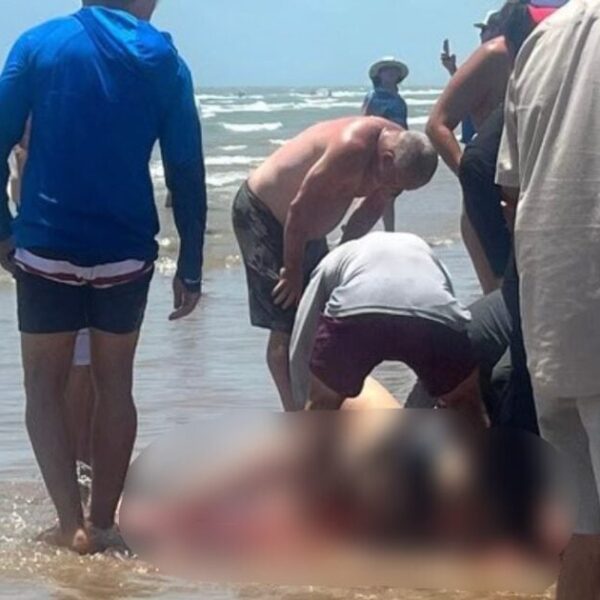 Four Shark Attacks Shock South Padre Island, Texas During Fourth of July…